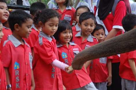 Elephant Feeding Zoo Melaka